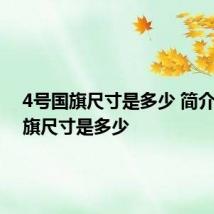 4号国旗尺寸是多少 简介4号国旗尺寸是多少