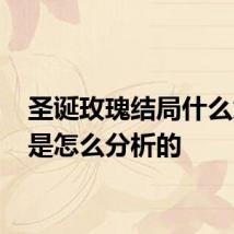 圣诞玫瑰结局什么意思 是怎么分析的