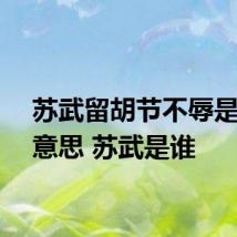 苏武留胡节不辱是什么意思 苏武是谁