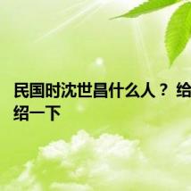 民国时沈世昌什么人? 给大家介绍一下
