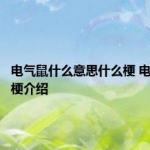 电气鼠什么意思什么梗 电气鼠的梗介绍