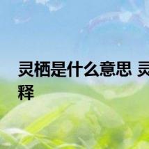 灵栖是什么意思 灵栖解释