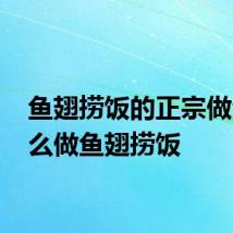 鱼翅捞饭的正宗做法 怎么做鱼翅捞饭
