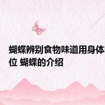 蝴蝶辨别食物味道用身体哪个部位 蝴蝶的介绍