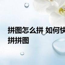 拼图怎么拼 如何快速的拼拼图