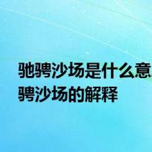 驰骋沙场是什么意思 驰骋沙场的解释