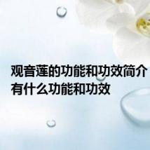 观音莲的功能和功效简介 观音莲有什么功能和功效