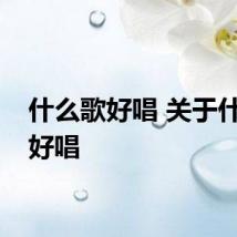 什么歌好唱 关于什么歌好唱