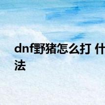 dnf野猪怎么打 什么方法