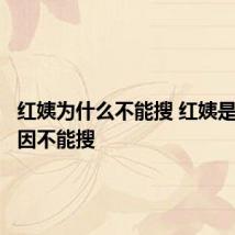 红姨为什么不能搜 红姨是什么原因不能搜