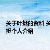 关于叶挺的资料 关于叶挺个人介绍
