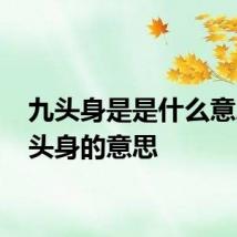 九头身是是什么意思 九头身的意思