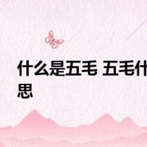 什么是五毛 五毛什么意思