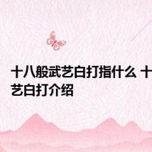 十八般武艺白打指什么 十八般武艺白打介绍