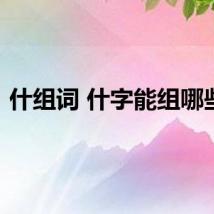 什组词 什字能组哪些词