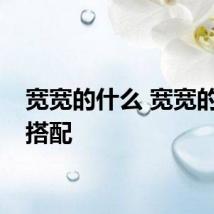 宽宽的什么 宽宽的词语搭配
