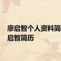 廖启智个人资料简介 廖启智简历