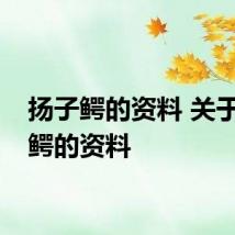 扬子鳄的资料 关于扬子鳄的资料