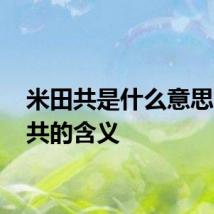 米田共是什么意思 米田共的含义