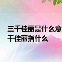 三千佳丽是什么意思 三千佳丽指什么