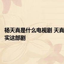 杨天真是什么电视剧 天真遇到现实这部剧