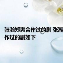 张瀚郑爽合作过的剧 张瀚郑爽合作过的剧如下