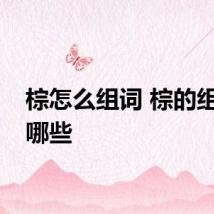 棕怎么组词 棕的组词有哪些