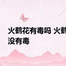 火鹤花有毒吗 火鹤花有没有毒
