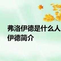 弗洛伊德是什么人 弗洛伊德简介