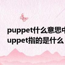 puppet什么意思中文 puppet指的是什么