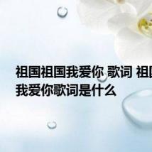 祖国祖国我爱你 歌词 祖国祖国我爱你歌词是什么