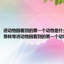 进动物园看到的第一个动物是什么 脑筋急转弯进动物园看到的第一个动物是什么