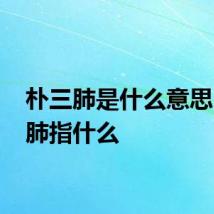 朴三肺是什么意思 朴三肺指什么