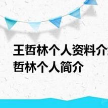 王哲林个人资料介绍 王哲林个人简介