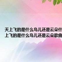 天上飞的是什么鸟儿还是云朵什么歌 天上飞的是什么鸟儿还是云朵歌曲简介