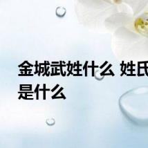 金城武姓什么 姓氏来源是什么