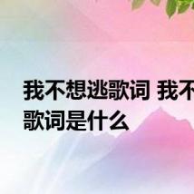 我不想逃歌词 我不想逃歌词是什么