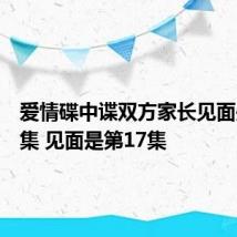 爱情碟中谍双方家长见面是第几集 见面是第17集