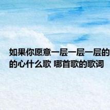 如果你愿意一层一层一层的剥开我的心什么歌 哪首歌的歌词