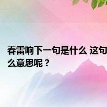 春雷响下一句是什么 这句诗是什么意思呢?