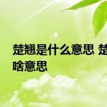 楚翘是什么意思 楚翘是啥意思