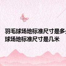 羽毛球场地标准尺寸是多少 羽毛球场地标准尺寸是几米