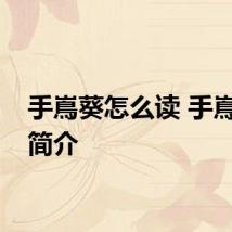 手嶌葵怎么读 手嶌葵的简介