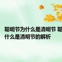 聪明节为什么是清明节 聪明节为什么是清明节的解析
