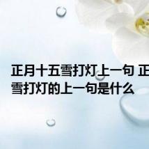正月十五雪打灯上一句 正月十五雪打灯的上一句是什么
