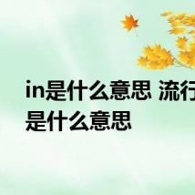 in是什么意思 流行语in是什么意思