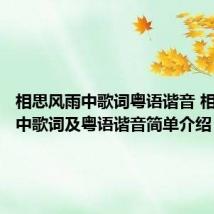 相思风雨中歌词粤语谐音 相思风雨中歌词及粤语谐音简单介绍
