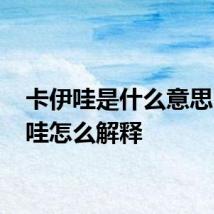 卡伊哇是什么意思 卡伊哇怎么解释