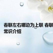 春联左右哪边为上联 春联的简单常识介绍