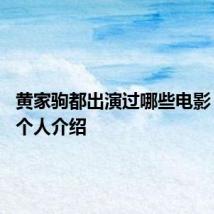 黄家驹都出演过哪些电影 黄家驹个人介绍